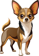 Chihuahua dog isolated on white background. Vector illustration.