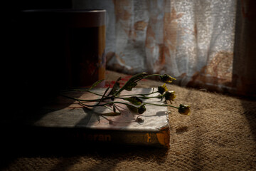 A flower on a book with light from the window in the background