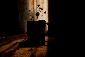 silhouette of a flower in a pot against the background of exposure to light from the window
