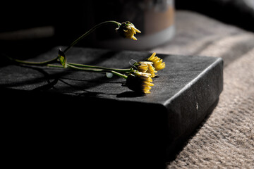 A yellow flower on a cardboard box