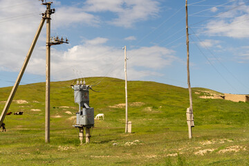 A power line pole with a power box on top of it. A white horse is grazing in the grass