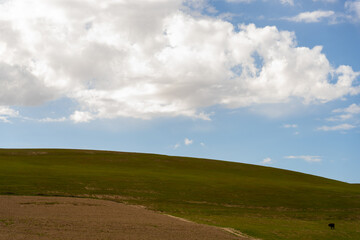 Obraz premium A large, open field with a cow grazing in the distance. The sky is cloudy, but the sun is still shining through the clouds. The scene is peaceful and serene, with the cow grazing on the grass