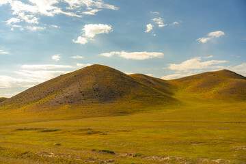 A large, grassy hillside with a clear blue sky. The hill is covered in grass and has a few trees scattered around. The scene is peaceful and serene, with the sun shining brightly in the sky