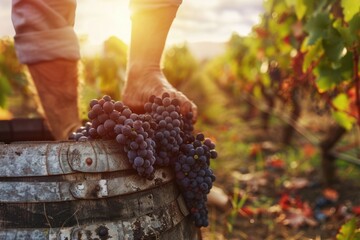 A man standing on top of a barrel filled with grapes. Ideal for winery or vineyard concepts