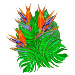 Exotic Strelitzia flower and Monstera leaves. Bouquet of tropical flowers and leaves, hand drawn illustration on a white background. Design element for printing on packaging and fabric design.