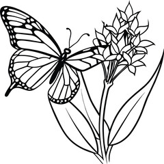 Monarch butterfly flying coloring pages. Butterfly on flower coloring pages