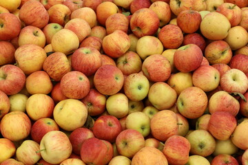Fruits and vegetables are sold at a bazaar in Israel.