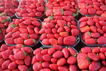 Fruits and vegetables are sold at a bazaar in Israel.