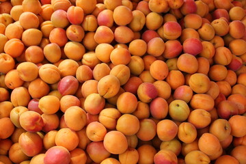 Fruits and vegetables are sold at a bazaar in Israel.