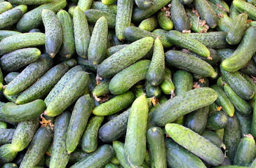 Fruits and vegetables are sold at a bazaar in Israel.