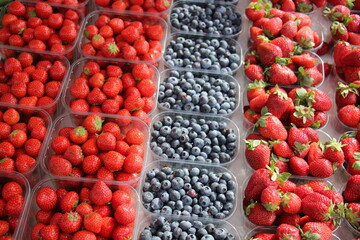 Fruits and vegetables are sold at a bazaar in Israel.