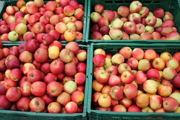 Fruits and vegetables are sold at a bazaar in Israel.