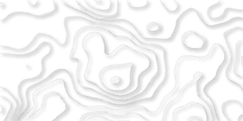 Geometric layered curve line white abstract stripes of white background,  Geographic mountain contours vector abstract background. topographic contours map background with geometric lines, 	