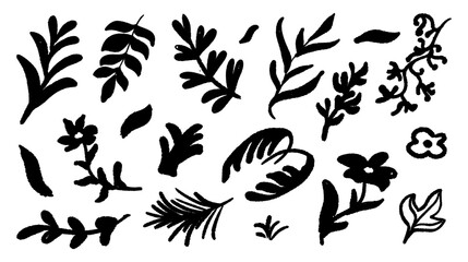 Set of flowers and branches silhouetted. Decoration design elements. Vector botanical plants.