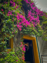 maison garni de fleurs dans la ville de Séville, Andalousie, Espagne