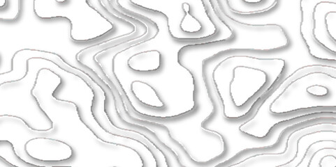 Geographic mountain contours vector abstract background. paper cut with geometric lines, Geometric layered curve line white abstract stripes of white background.