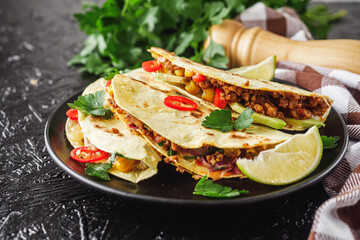 set of delicious fresh colorful quesadilla on a dark background