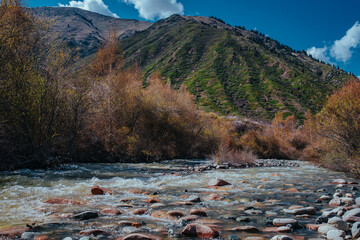 Beautiful mountain rushing river in spring, Central Asia