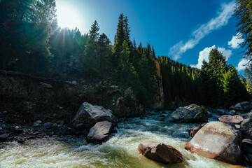Beautiful mountain rushing river in spring
