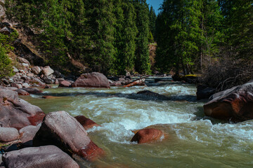 Beautiful mountain rushing river in spring