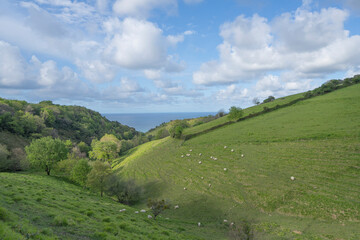 Rural landscape in northern Spain.