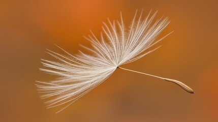   A tight shot of a white dandelion against a complex backdrop of browns and oranges The image subtly blurs behind the dandelion head, hinting
