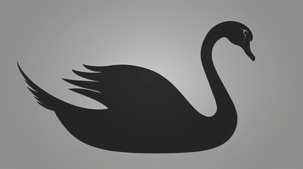   A black swan atop a gray backdrop, its shadow casting a swan-like form overhead