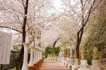 Path to Kimii-dera Temple in Wakayama, Japan - 日本 和歌山 紀三井寺 参道