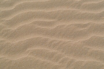 sand texture background. fine sand beach under summer sunlight