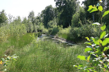 Blick auf das Venner Moor in der Nähe der Gemeinde Senden im Münsterland
