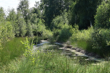 Blick auf das Venner Moor in der Nähe der Gemeinde Senden im Münsterland