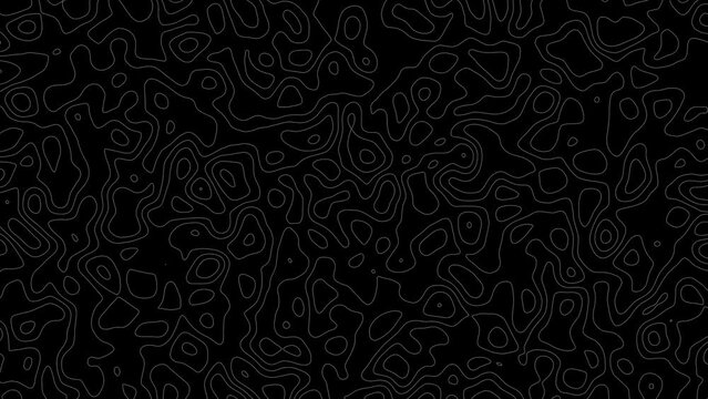 Gray outline topographic contour map abstract tech motion graphic design. Video animation Ultra HD 4K 3840x2160.Abstract animated outline topographic contour map. TECHNOLOGY