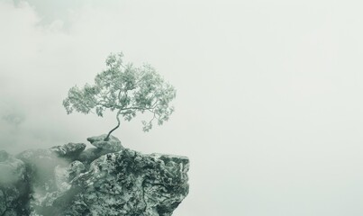 Lonely tree on a rocky cliff enveloped by mist and tranquility