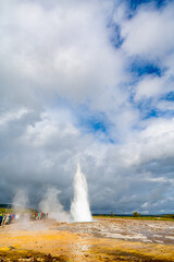 spectacular geyser in action in Iceland