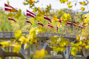 Latvian flags in a sunny day in May shortly before national independence day celebration at the Gauja bridge in Sigulda