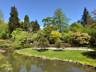 Fototapeta premium Japanese garden landscape view sunny day