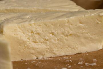 close-up of a piece of soft Caucasian cheese made from milk