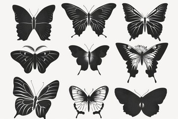 A set of six black and white butterflies. Can be used for nature or wildlife themes