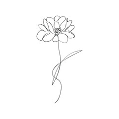 Vector continuous one simple single abstract line drawing of Flower isolated on a white background