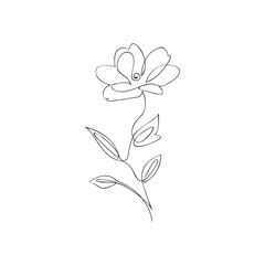 Vector continuous one simple single abstract line drawing of Flower isolated on a white background