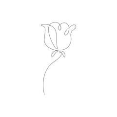 Vector continuous one simple single abstract line drawing of Rose flower isolated on a white background
