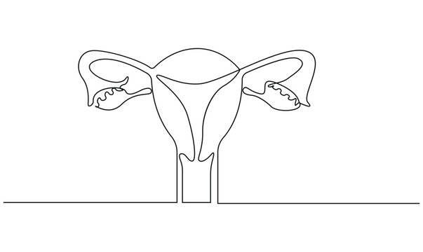 recommend clip art: Vector continuous one simple single abstract line drawing of woman uterus concept of medical