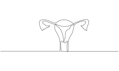Vector continuous one simple single abstract line drawing of woman uterus concept of medical