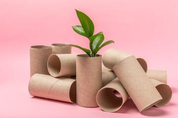 Empty toilet paper roll. Empty toilet paper rolls and plant for on background. Paper tube of toilet paper. Place for text. Copy space. Flat lay. Eco-friendly reuse recycle