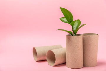 Empty toilet paper roll. Empty toilet paper rolls and plant for on background. Paper tube of toilet paper. Place for text. Copy space. Flat lay. Eco-friendly reuse recycle