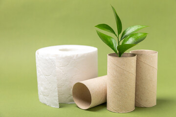 Empty toilet paper roll. Empty toilet paper rolls and plant for on background. Paper tube of toilet paper. Place for text. Copy space. Flat lay. Eco-friendly reuse recycle