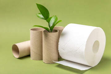 Empty toilet paper roll. Empty toilet paper rolls and plant for on background. Paper tube of toilet paper. Place for text. Copy space. Flat lay. Eco-friendly reuse recycle