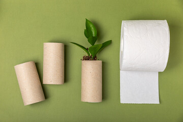 Empty toilet paper roll. Empty toilet paper rolls and plant for on background. Paper tube of toilet paper. Place for text. Copy space. Flat lay. Eco-friendly reuse recycle