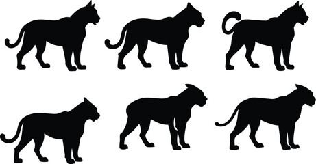Bobcat Silhouette Vector Illustration