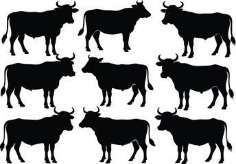  Set of  Cow black Silhouette Design.